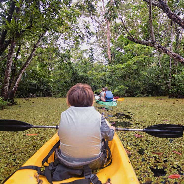 kayak