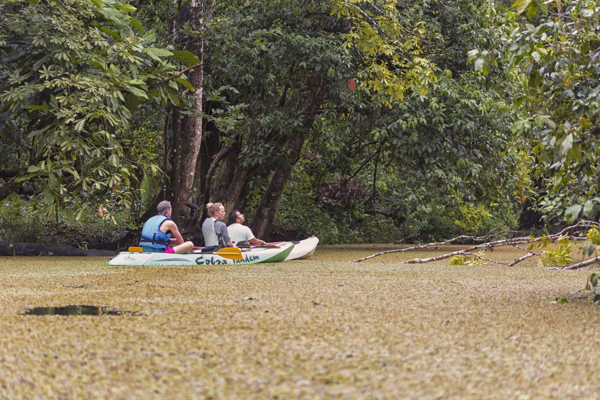 Kayaking Rio Dulce